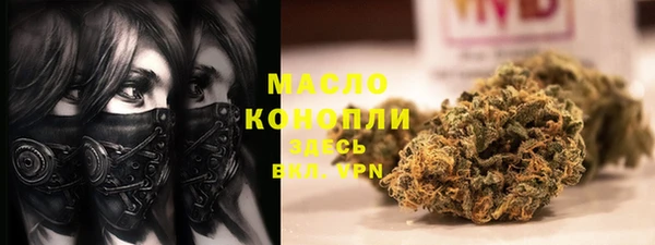 гидра Няндома
