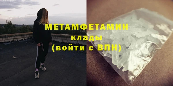 гидра Няндома