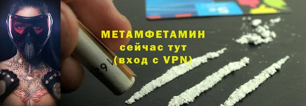 гидра Няндома