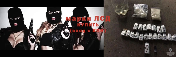 гидра Няндома