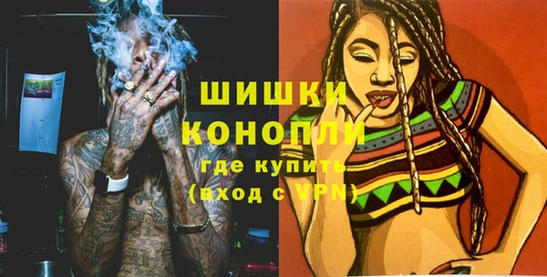 гидра Няндома