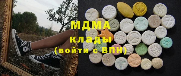 гидра Няндома