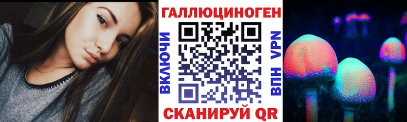 Псилоцибиновые грибы Cubensis  Санкт-Петербург 